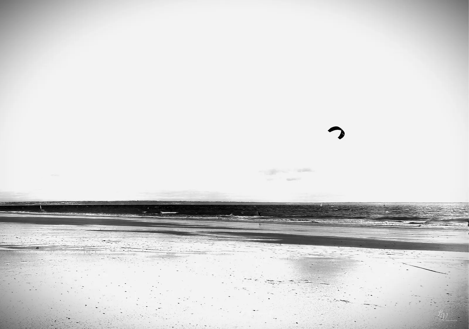 Jour de kite II