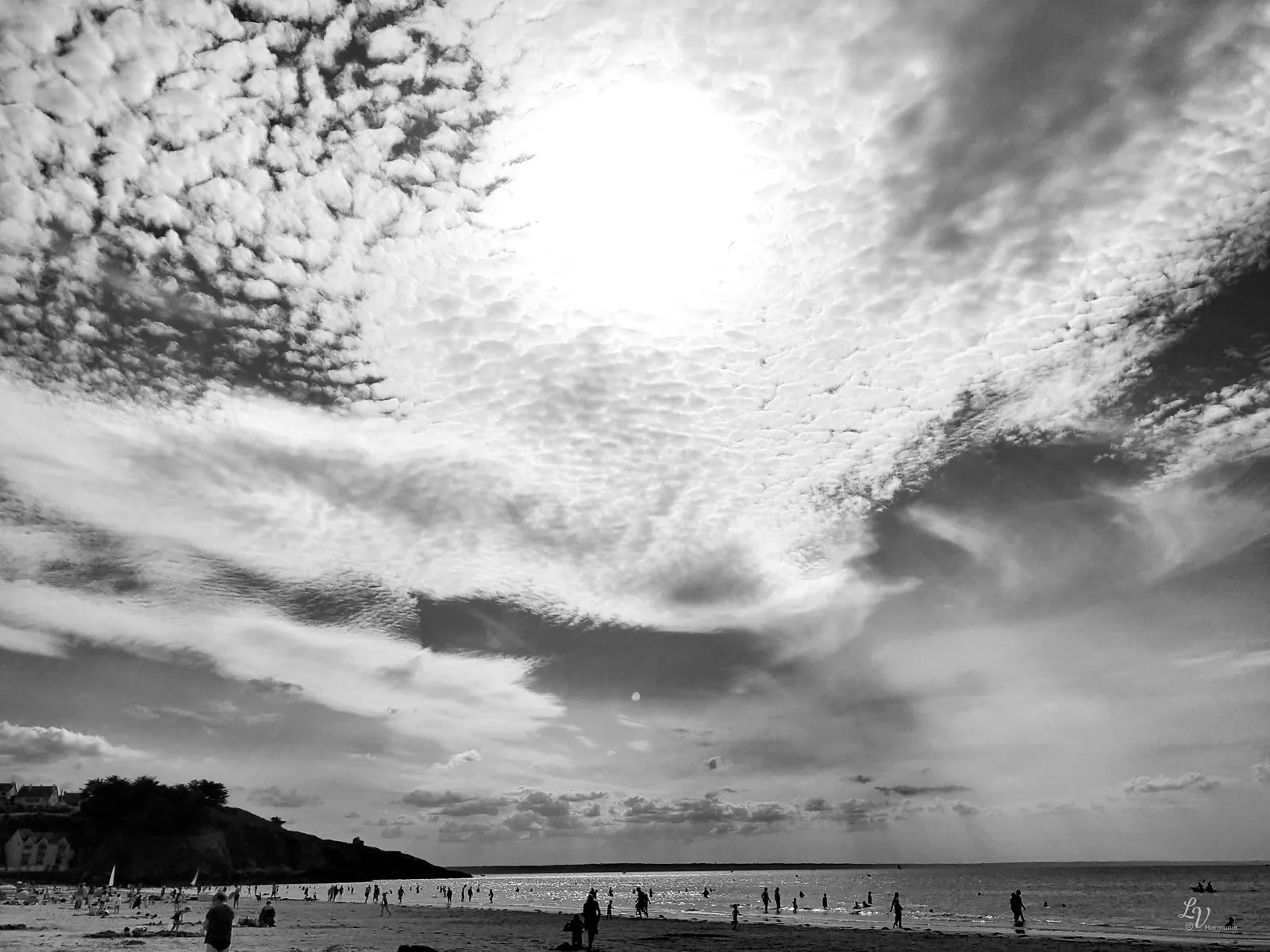 Oiseau dans le ciel
